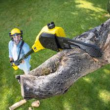 Best Hazardous Tree Removal  in Lincoln Heights, OH