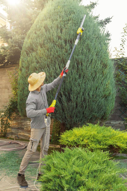 Lawn Pest Prevention in Lincoln Heights, OH